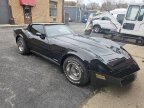Thumbnail Photo 6 for 1980 Chevrolet Corvette Stingray