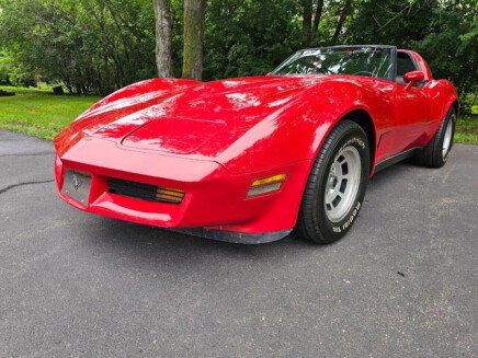 Photo 1 for 1980 Chevrolet Corvette