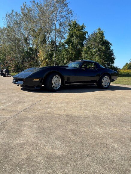 Photo 1 for 1980 Chevrolet Corvette for Sale by Owner