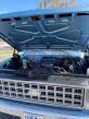 Thumbnail Photo 1 for 1980 Chevrolet Custom