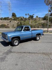 1980 Chevrolet Custom