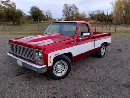 Photo 1 for 1980 Chevrolet Other Chevrolet Models