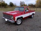Thumbnail Photo 1 for 1980 Chevrolet Other Chevrolet Models