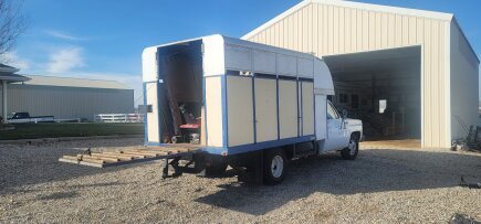 Photo 1 for 1980 Chevrolet Other Chevrolet Models for Sale by Owner