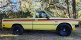 1980 Dodge D/W Truck 2WD Regular Cab