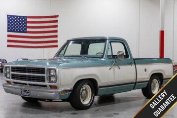 1980 Dodge D/W Truck