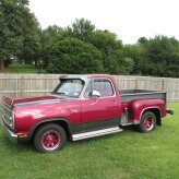 1980 Dodge Other Dodge Models