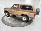 Thumbnail Photo 5 for 1980 Ford Bronco