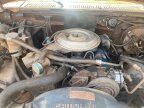 Thumbnail Photo 6 for 1980 Ford F150 4x4 Regular Cab for Sale by Owner