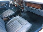 Thumbnail Photo 3 for 1980 Ford Mustang Convertible