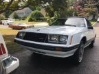 Thumbnail Photo 4 for 1980 Ford Mustang Convertible