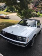 Thumbnail Photo 1 for 1980 Ford Mustang Convertible