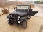 Thumbnail Photo 3 for 1980 Jeep CJ-5