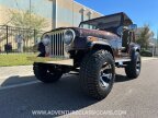 Thumbnail Photo 2 for 1980 Jeep CJ-5