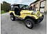 1980 Jeep CJ-7