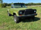 Thumbnail Photo 4 for 1980 Jeep J10