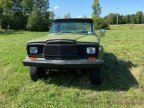 Thumbnail Photo 3 for 1980 Jeep J10