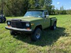 Thumbnail Photo 2 for 1980 Jeep J10
