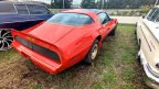 Thumbnail Photo 5 for 1980 Pontiac Firebird