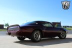 Thumbnail Photo 6 for 1980 Pontiac Firebird Trans Am