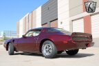 Thumbnail Photo 4 for 1980 Pontiac Firebird Trans Am