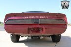 Thumbnail Photo 5 for 1980 Pontiac Firebird Trans Am