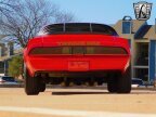 Thumbnail Photo 4 for 1980 Pontiac Firebird Trans Am