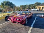 Thumbnail Photo 1 for 1980 Pontiac Firebird