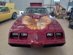 Thumbnail Photo 2 for 1980 Pontiac Firebird