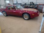 Thumbnail Photo 6 for 1980 Pontiac Firebird