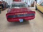 Thumbnail Photo 3 for 1980 Pontiac Firebird