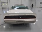 Thumbnail Photo 6 for 1980 Pontiac Firebird