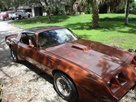 Photo 1 for 1980 Pontiac Firebird
