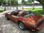 Thumbnail Photo 3 for 1980 Pontiac Firebird