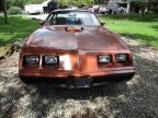 Thumbnail Photo 1 for 1980 Pontiac Firebird