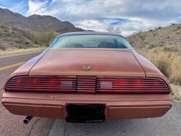 1980 Pontiac Firebird Esprit