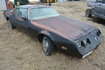 1980 Pontiac Firebird Coupe