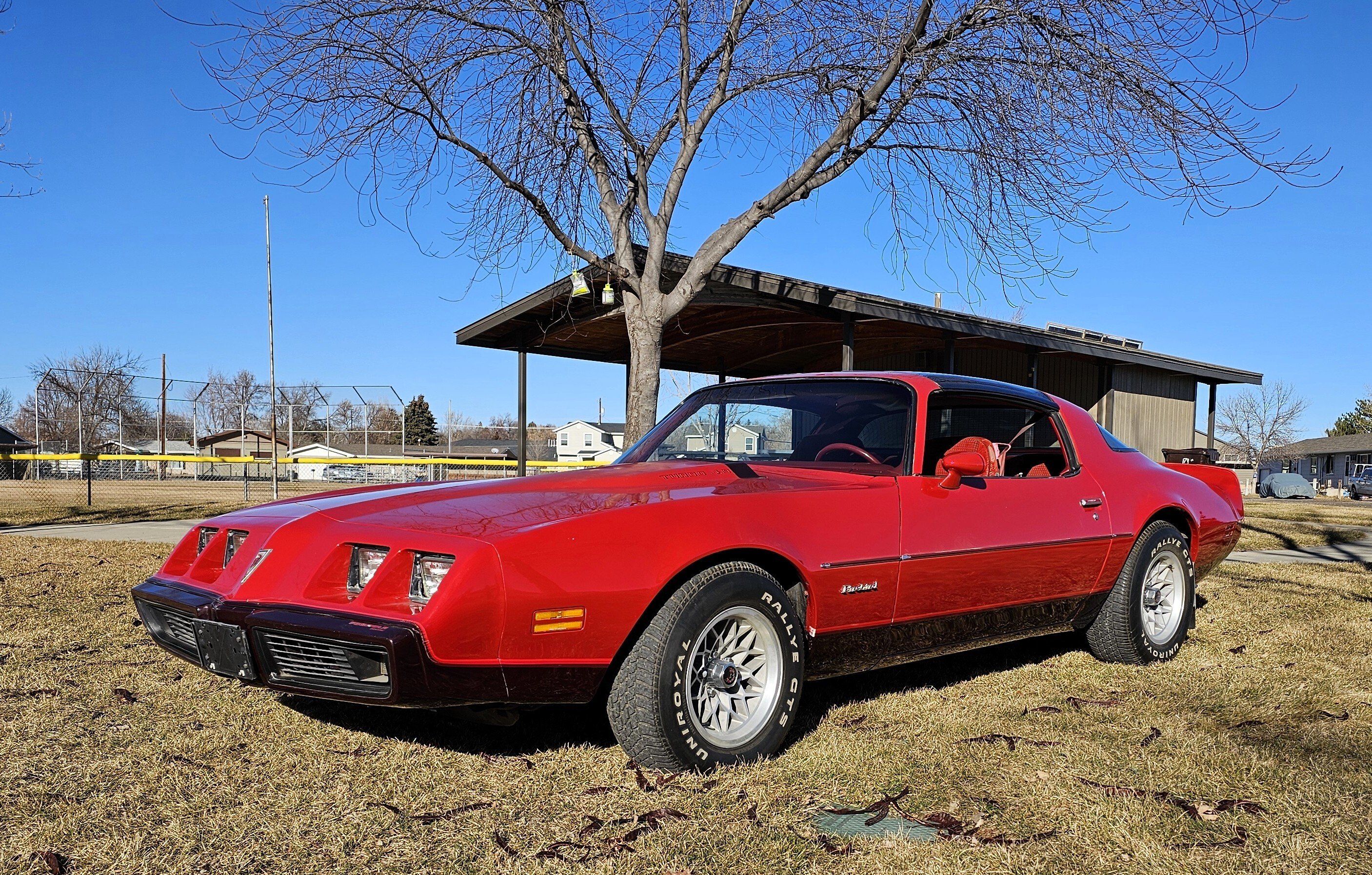 1980 Pontiac Firebird Coupe