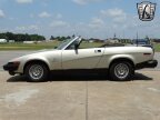 Thumbnail Photo 4 for 1980 Triumph TR8