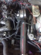 Thumbnail Photo 2 for 1980 Volvo 244