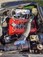 Thumbnail Photo 4 for 1981 Alfa Romeo Spider