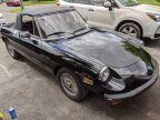 Thumbnail Photo 2 for 1981 Alfa Romeo Spider