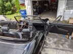 Thumbnail Photo 3 for 1981 Alfa Romeo Spider
