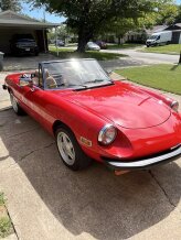 1981 Alfa Romeo Spider Veloce