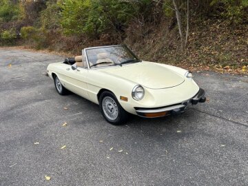 1981 Alfa Romeo Spider