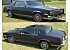 1981 Cadillac Eldorado