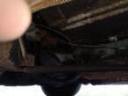 Thumbnail Photo 5 for 1981 Cadillac Fleetwood