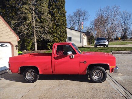 Photo 1 for 1981 Chevrolet C/K Truck 2WD Regular Cab 1500 for Sale by Owner