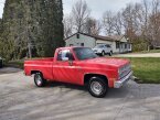 Thumbnail Photo 3 for 1981 Chevrolet C/K Truck 2WD Regular Cab 1500 for Sale by Owner