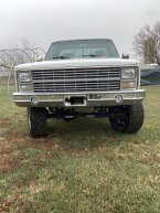 Thumbnail Photo 3 for 1981 Chevrolet C/K Truck K20 for Sale by Owner